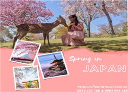 Du Lịch Nhật Bản Tour Thiết Kế Hành Trình Vàng Mùa Xuân 2023
